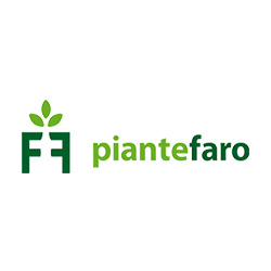 Piante Faro